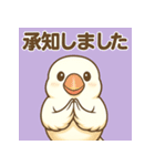 白文鳥 日常 基本スタンプ①（個別スタンプ：4）