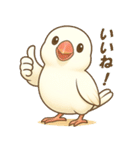 白文鳥 日常 基本スタンプ①（個別スタンプ：5）