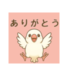 白文鳥 日常 基本スタンプ①（個別スタンプ：7）