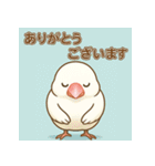 白文鳥 日常 基本スタンプ①（個別スタンプ：8）