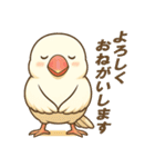 白文鳥 日常 基本スタンプ①（個別スタンプ：11）