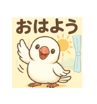 白文鳥 日常 基本スタンプ①（個別スタンプ：13）