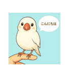 白文鳥 日常 基本スタンプ①（個別スタンプ：14）