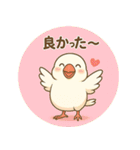 白文鳥 日常 基本スタンプ①（個別スタンプ：19）