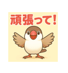 白文鳥 日常 基本スタンプ①（個別スタンプ：21）
