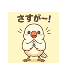 白文鳥 日常 基本スタンプ①（個別スタンプ：23）