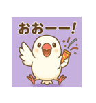 白文鳥 日常 基本スタンプ①（個別スタンプ：24）