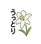 お花スタンプ＊癒しときらめき（個別スタンプ：4）