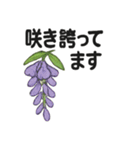 お花スタンプ＊癒しときらめき（個別スタンプ：13）