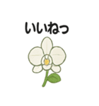 お花スタンプ＊癒しときらめき（個別スタンプ：30）