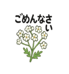 お花スタンプ＊癒しときらめき（個別スタンプ：34）