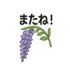 お花スタンプ＊癒しときらめき（個別スタンプ：40）