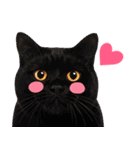 猫の顔写真❤️楽しく使える日常会話（個別スタンプ：15）