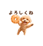ドーナツとトイプードルのアニメーション（個別スタンプ：10）