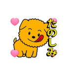 アニメ光る犬VSネコ+3Dハート（個別スタンプ：13）