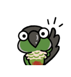 ウロコインコ ノーマルがいっぱい（個別スタンプ：1）