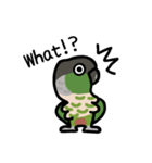 ウロコインコ ノーマルがいっぱい（個別スタンプ：6）