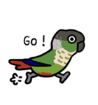 ウロコインコ ノーマルがいっぱい（個別スタンプ：10）