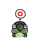 ウロコインコ ノーマルがいっぱい（個別スタンプ：13）