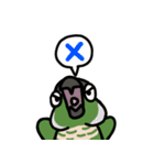 ウロコインコ ノーマルがいっぱい（個別スタンプ：14）