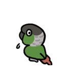 ウロコインコ ノーマルがいっぱい（個別スタンプ：18）