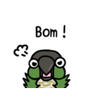 ウロコインコ ノーマルがいっぱい（個別スタンプ：19）