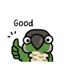 ウロコインコ ノーマルがいっぱい（個別スタンプ：24）