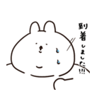 全部報告あごうさぎ（個別スタンプ：4）