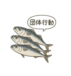 シュールな魚たちのスタンプ 第2弾（個別スタンプ：5）