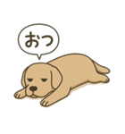 シュールな生き物たちのスタンプ第二弾（個別スタンプ：2）