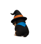 ワンちゃんのハロウィン (NT)（個別スタンプ：9）