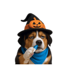 ワンちゃんのハロウィン (NT)（個別スタンプ：10）