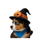 ワンちゃんのハロウィン (NT)（個別スタンプ：11）
