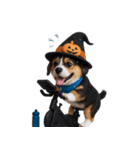 ワンちゃんのハロウィン (NT)（個別スタンプ：14）