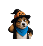 ワンちゃんのハロウィン (NT)（個別スタンプ：17）