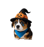 ワンちゃんのハロウィン (NT)（個別スタンプ：22）