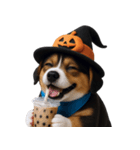 ワンちゃんのハロウィン (NT)（個別スタンプ：26）