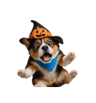ワンちゃんのハロウィン (NT)（個別スタンプ：27）