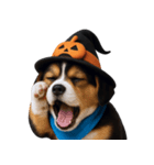 ワンちゃんのハロウィン (NT)（個別スタンプ：29）