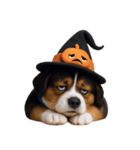 ワンちゃんのハロウィン (NT)（個別スタンプ：30）