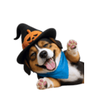 ワンちゃんのハロウィン (NT)（個別スタンプ：36）