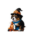 ワンちゃんのハロウィン (NT)（個別スタンプ：38）