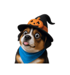 ワンちゃんのハロウィン (NT)（個別スタンプ：39）