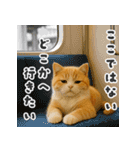 茶白猫の弱音スタンプ【毎日使える】（個別スタンプ：13）