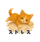 茶白猫の弱音スタンプ【毎日使える】（個別スタンプ：22）