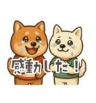 番外編：ダッシュ！コタロウ陸上スタンプ（個別スタンプ：5）