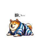 浴衣で夏の終わりな太っちょ柴犬（個別スタンプ：1）