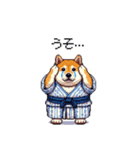 浴衣で夏の終わりな太っちょ柴犬（個別スタンプ：12）