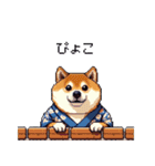 浴衣で夏の終わりな太っちょ柴犬（個別スタンプ：14）