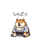 浴衣で夏の終わりな太っちょ柴犬（個別スタンプ：21）